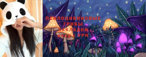 индика Бородино